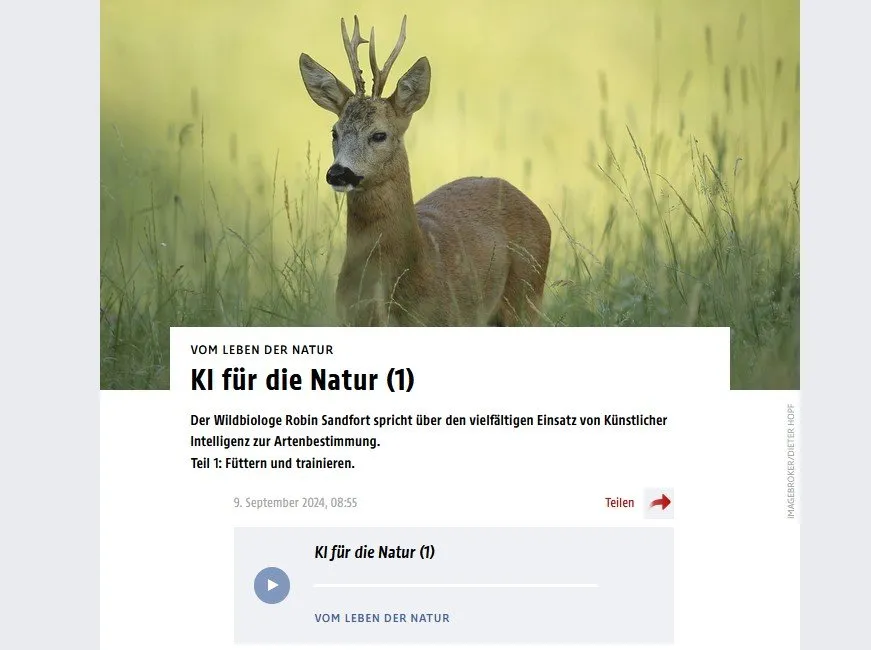 Radioserie: Vom Leben der Natur - KI für die Natur