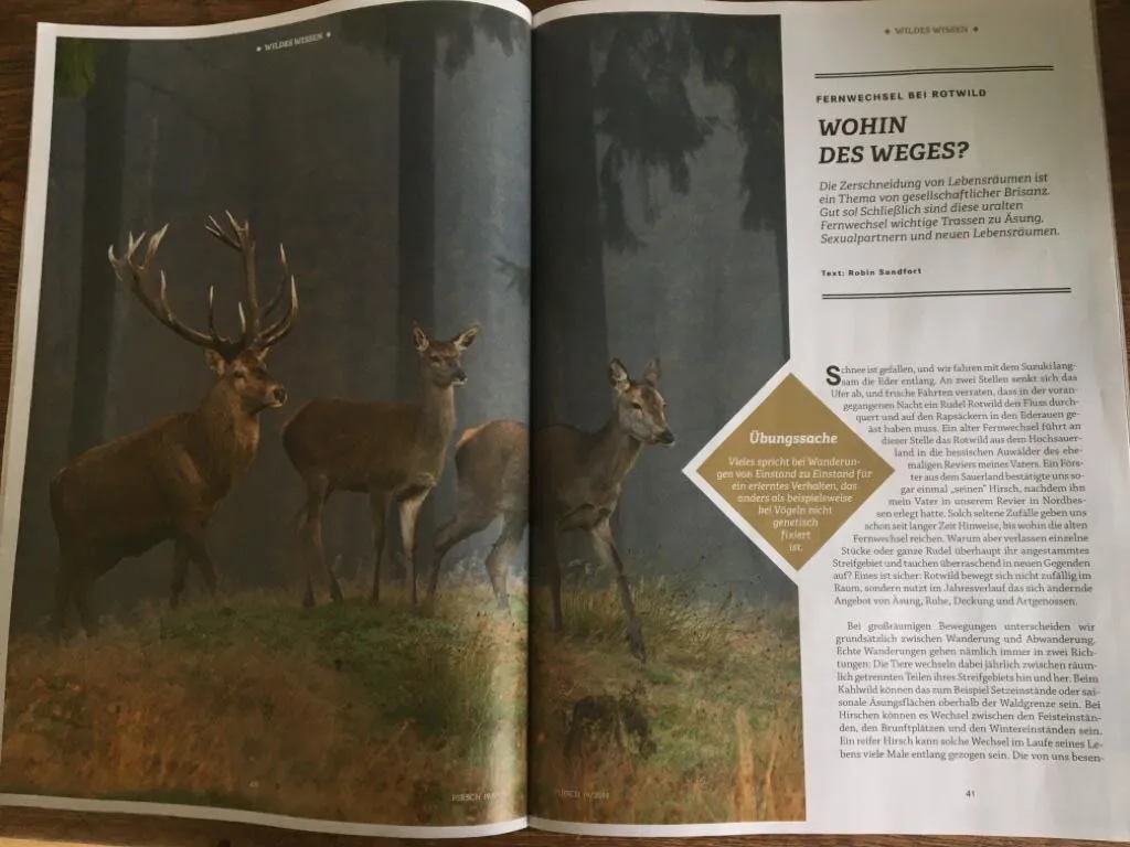 Neue Artikel in der Pirsch und im Niedersächsischen Jäger