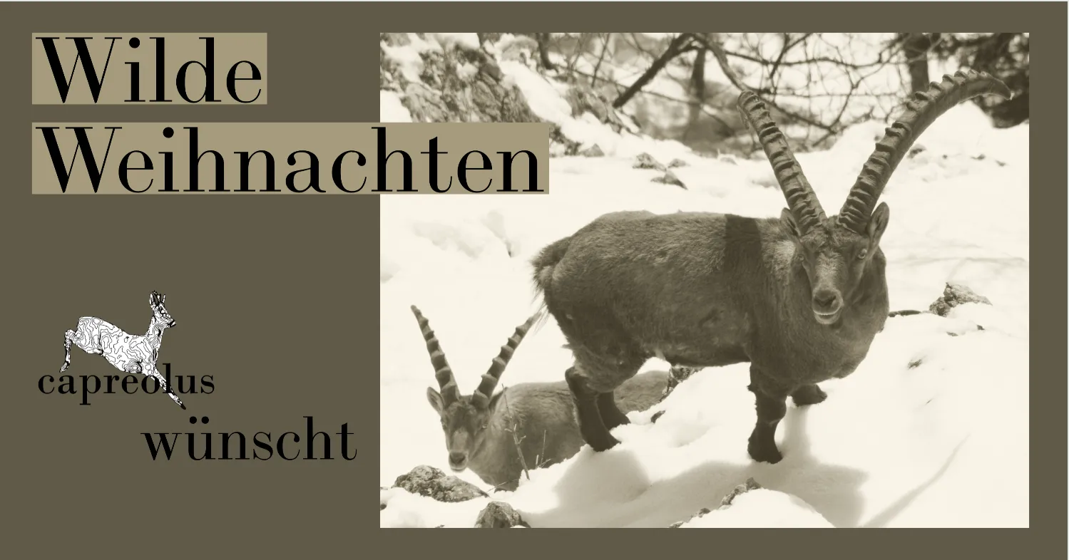 capreolus wünscht Ihnen Wilde Weihnachten!