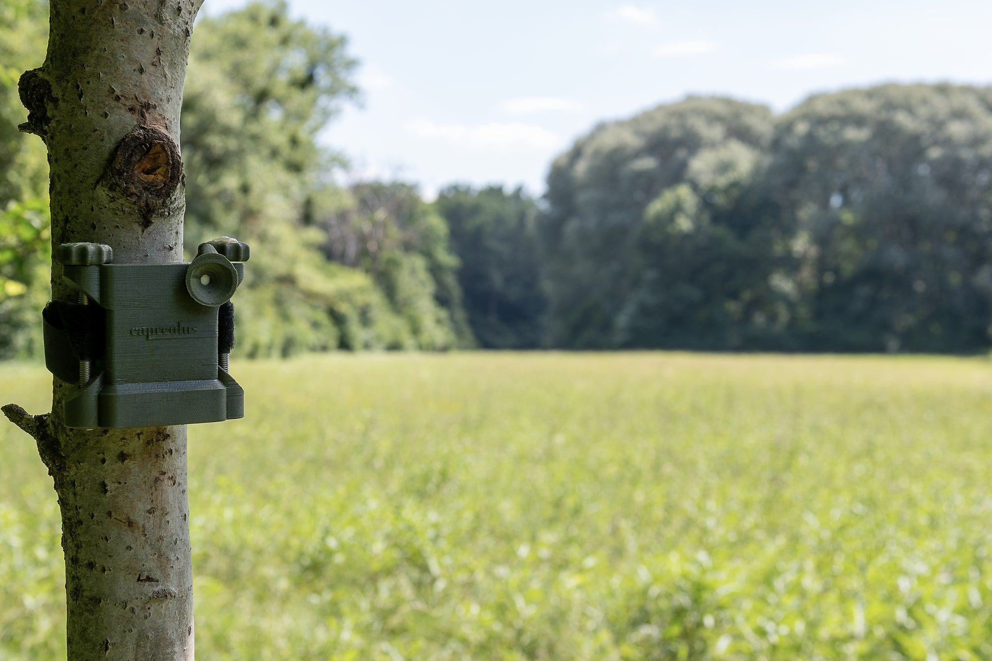 Ein autonomer capreolus-Rekorder hängt an einem Baumstamm am Rand einer Auwald-Wiese — der Beginn einer bioakustischen Erhebung.