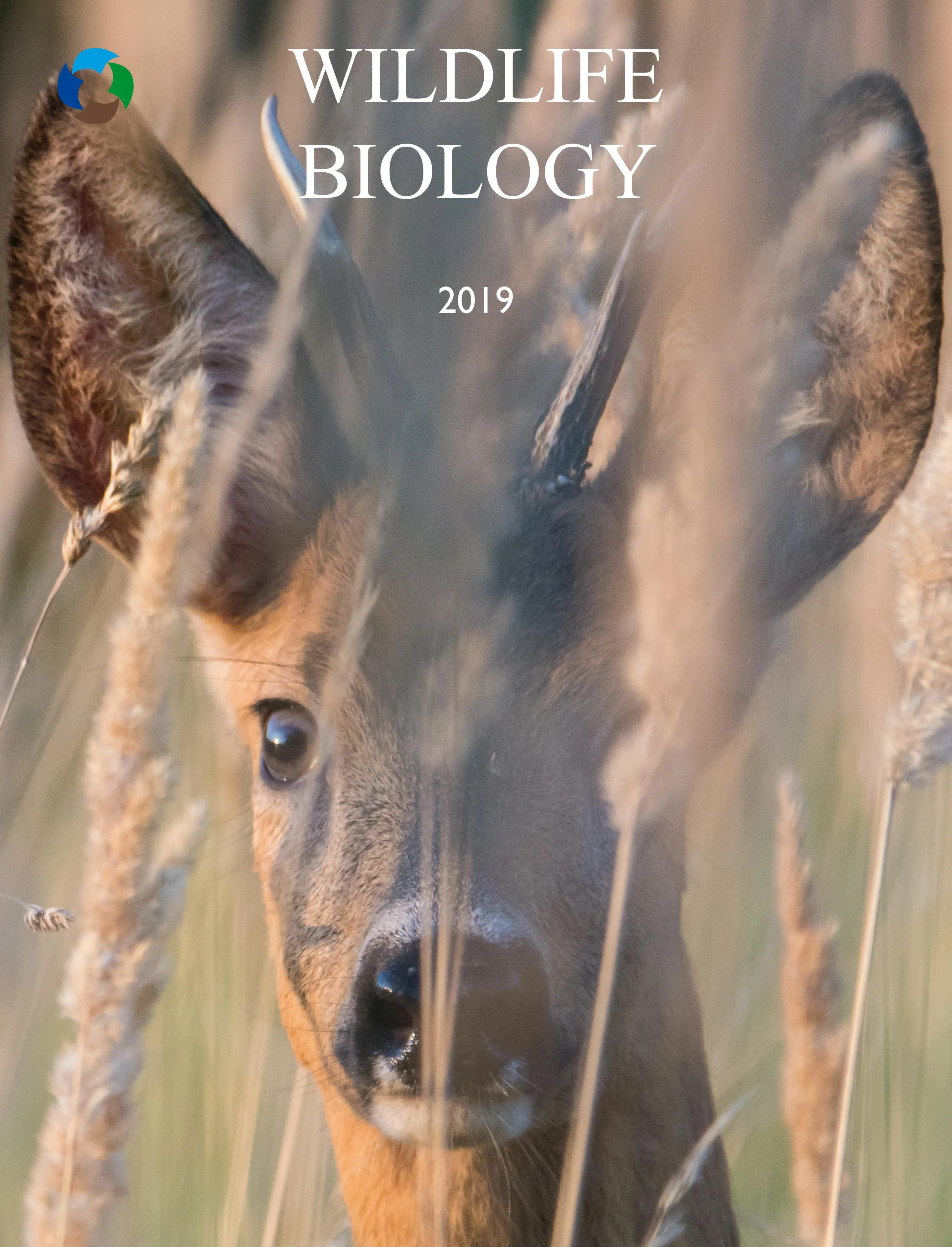 New cover!