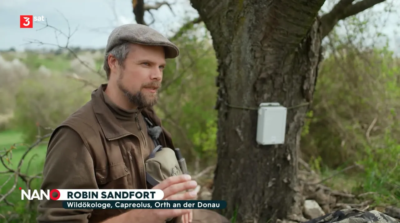 Robin Sandfort im 3sat-NANO-Beitrag — Wildökologe, capreolus, Orth an der Donau